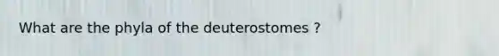 What are the phyla of the deuterostomes ?