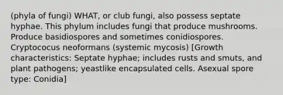 (phyla of fungi) WHAT, or club fungi, also possess septate hyphae. This phylum includes fungi that produce mushrooms. Produce basidiospores and sometimes conidiospores. Cryptococus neoformans (systemic mycosis) [Growth characteristics: Septate hyphae; includes rusts and smuts, and plant pathogens; yeastlike encapsulated cells. Asexual spore type: Conidia]