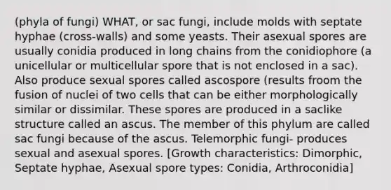 (phyla of fungi) WHAT, or sac fungi, include molds with septate hyphae (cross-walls) and some yeasts. Their asexual spores are usually conidia produced in long chains from the conidiophore (a unicellular or multicellular spore that is not enclosed in a sac). Also produce sexual spores called ascospore (results froom the fusion of nuclei of two cells that can be either morphologically similar or dissimilar. These spores are produced in a saclike structure called an ascus. The member of this phylum are called sac fungi because of the ascus. Telemorphic fungi- produces sexual and asexual spores. [Growth characteristics: Dimorphic, Septate hyphae, Asexual spore types: Conidia, Arthroconidia]