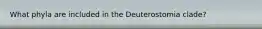 What phyla are included in the Deuterostomia clade?