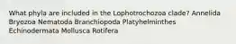 What phyla are included in the Lophotrochozoa clade? Annelida Bryozoa Nematoda Branchiopoda Platyhelminthes Echinodermata Mollusca Rotifera