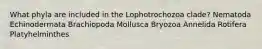 What phyla are included in the Lophotrochozoa clade? Nematoda Echinodermata Brachiopoda Mollusca Bryozoa Annelida Rotifera Platyhelminthes