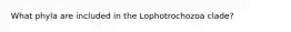 What phyla are included in the Lophotrochozoa clade?