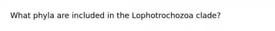 What phyla are included in the Lophotrochozoa clade?