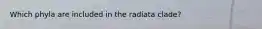 Which phyla are included in the radiata clade?