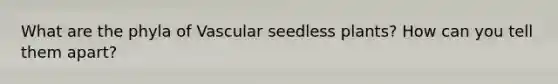 What are the phyla of Vascular seedless plants? How can you tell them apart?