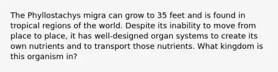 The Phyllostachys migra can grow to 35 feet and is found in tropical regions of the world. Despite its inability to move from place to place, it has well-designed organ systems to create its own nutrients and to transport those nutrients. What kingdom is this organism in?