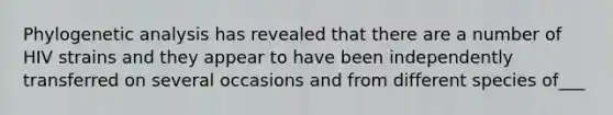 Phylogenetic analysis has revealed that there are a number of HIV strains and they appear to have been independently transferred on several occasions and from different species of___