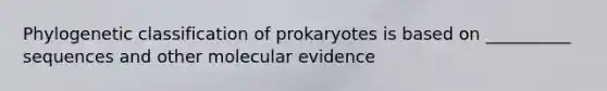 Phylogenetic classification of prokaryotes is based on __________ sequences and other molecular evidence