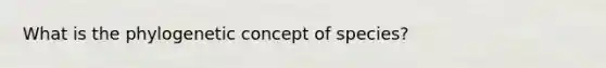 What is the phylogenetic concept of species?