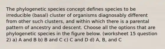 The phylogenetic species concept defines species to be irreducible (basal) cluster of organisms diagnosably different from other such clusters, and within which there is a parental pattern of ancestry and descent. Choose all the options that are phylogenetic species in the figure below. (worksheet 15 question 2) a) A and B b) B and C c) C and D d) A, B, and C