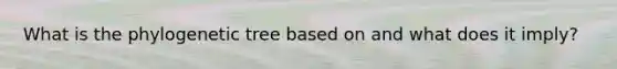 What is the phylogenetic tree based on and what does it imply?
