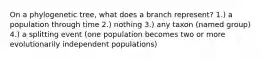 On a phylogenetic tree, what does a branch represent? 1.) a population through time 2.) nothing 3.) any taxon (named group) 4.) a splitting event (one population becomes two or more evolutionarily independent populations)