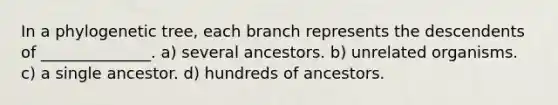 In a phylogenetic tree, each branch represents the descendents of ______________. a) several ancestors. b) unrelated organisms. c) a single ancestor. d) hundreds of ancestors.