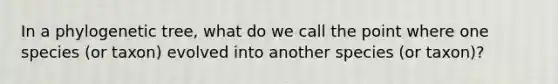 In a phylogenetic tree, what do we call the point where one species (or taxon) evolved into another species (or taxon)?