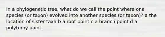 In a phylogenetic tree, what do we call the point where one species (or taxon) evolved into another species (or taxon)? a the location of sister taxa b a root point c a branch point d a polytomy point