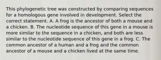 This phylogenetic tree was constructed by comparing sequences for a homologous gene involved in development. Select the correct statement. A. A frog is the ancestor of both a mouse and a chicken. B. The nucleotide sequence of this gene in a mouse is more similar to the sequence in a chicken, and both are less similar to the nucleotide sequence of this gene in a frog. C. The common ancestor of a human and a frog and the common ancestor of a mouse and a chicken lived at the same time.