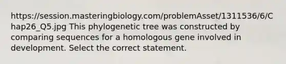 https://session.masteringbiology.com/problemAsset/1311536/6/Chap26_Q5.jpg This phylogenetic tree was constructed by comparing sequences for a homologous gene involved in development. Select the correct statement.