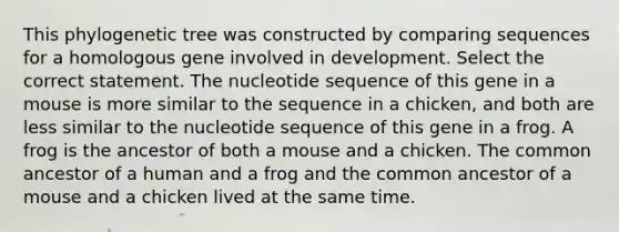 This phylogenetic tree was constructed by comparing sequences for a homologous gene involved in development. Select the correct statement. The nucleotide sequence of this gene in a mouse is more similar to the sequence in a chicken, and both are less similar to the nucleotide sequence of this gene in a frog. A frog is the ancestor of both a mouse and a chicken. The common ancestor of a human and a frog and the common ancestor of a mouse and a chicken lived at the same time.