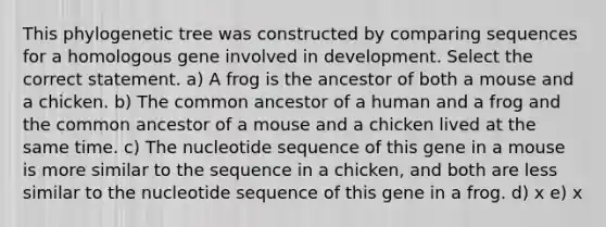 This phylogenetic tree was constructed by comparing sequences for a homologous gene involved in development. Select the correct statement. a) A frog is the ancestor of both a mouse and a chicken. b) The common ancestor of a human and a frog and the common ancestor of a mouse and a chicken lived at the same time. c) The nucleotide sequence of this gene in a mouse is more similar to the sequence in a chicken, and both are less similar to the nucleotide sequence of this gene in a frog. d) x e) x