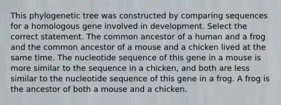 This phylogenetic tree was constructed by comparing sequences for a homologous gene involved in development. Select the correct statement. The common ancestor of a human and a frog and the common ancestor of a mouse and a chicken lived at the same time. The nucleotide sequence of this gene in a mouse is more similar to the sequence in a chicken, and both are less similar to the nucleotide sequence of this gene in a frog. A frog is the ancestor of both a mouse and a chicken.