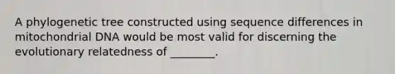 A phylogenetic tree constructed using sequence differences in mitochondrial DNA would be most valid for discerning the evolutionary relatedness of ________.