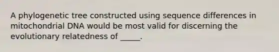 A phylogenetic tree constructed using sequence differences in mitochondrial DNA would be most valid for discerning the evolutionary relatedness of _____.