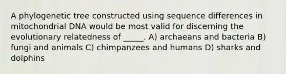 A phylogenetic tree constructed using sequence differences in mitochondrial DNA would be most valid for discerning the evolutionary relatedness of _____. A) archaeans and bacteria B) fungi and animals C) chimpanzees and humans D) sharks and dolphins