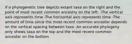 If a phylogenetic tree depicts extant taxa on the right and the point of most recent common ancestry on the left: -The vertical axis represents time -The horizontal axis represents time -The amount of time since the most recent common ancestor depends on the vertical spacing between taxa -An accurate phylogeny only shows taxa on the top and the most recent common ancestor on the bottom