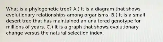 What is a phylogenetic tree? A.) It is a diagram that shows evolutionary relationships among organisms. B.) It is a small desert tree that has maintained an unaltered genotype for millions of years. C.) It is a graph that shows evolutionary change versus the natural selection index.