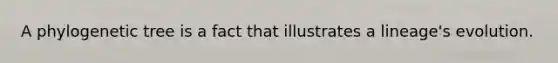 A phylogenetic tree is a fact that illustrates a lineage's evolution.