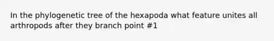 In the phylogenetic tree of the hexapoda what feature unites all arthropods after they branch point #1