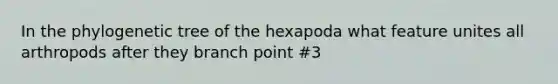 In the phylogenetic tree of the hexapoda what feature unites all arthropods after they branch point #3