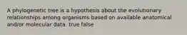 A phylogenetic tree is a hypothesis about the evolutionary relationships among organisms based on available anatomical and/or molecular data. true false