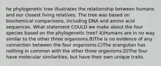 he phylogenetic tree illustrates the relationship between humans and our closest living relatives. The tree was based on biochemical comparisons, including DNA and amino acid sequences. What statement COULD we make about the four species based on the phylogenetic tree? A)Humans are in no way similar to the other three organisms.B)The is no evidence of any connection between the four organisms.C)The orangutan has nothing in common with the other three organisms.D)The four have molecular similarities, but have their own unique traits.