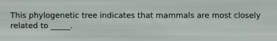This phylogenetic tree indicates that mammals are most closely related to _____.