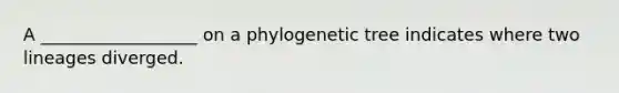 A __________________ on a phylogenetic tree indicates where two lineages diverged.