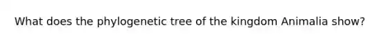 What does the phylogenetic tree of the kingdom Animalia show?