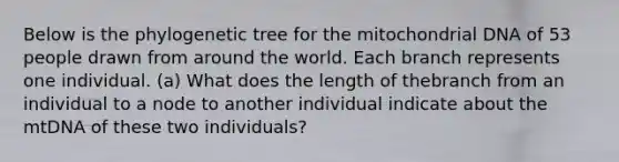 Below is the phylogenetic tree for the mitochondrial DNA of 53 people drawn from around the world. Each branch represents one individual. (a) What does the length of thebranch from an individual to a node to another individual indicate about the mtDNA of these two individuals?