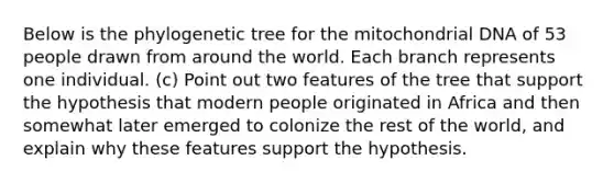 Below is the phylogenetic tree for the mitochondrial DNA of 53 people drawn from around the world. Each branch represents one individual. (c) Point out two features of the tree that support the hypothesis that modern people originated in Africa and then somewhat later emerged to colonize the rest of the world, and explain why these features support the hypothesis.