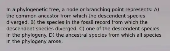 In a phylogenetic tree, a node or branching point represents: A) the common ancestor from which the descendent species diverged. B) the species in the fossil record from which the descendent species diverged. C) one of the descendent species in the phylogeny. D) the ancestral species from which all species in the phylogeny arose.