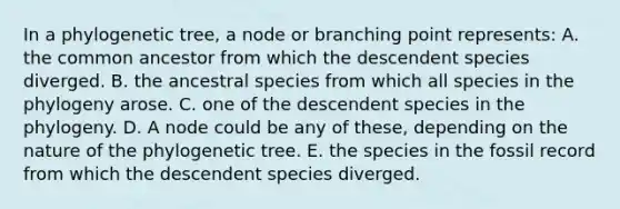 In a phylogenetic tree, a node or branching point represents: A. the common ancestor from which the descendent species diverged. B. the ancestral species from which all species in the phylogeny arose. C. one of the descendent species in the phylogeny. D. A node could be any of these, depending on the nature of the phylogenetic tree. E. the species in the fossil record from which the descendent species diverged.