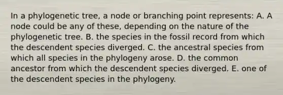 In a phylogenetic tree, a node or branching point represents: A. A node could be any of these, depending on the nature of the phylogenetic tree. B. the species in the fossil record from which the descendent species diverged. C. the ancestral species from which all species in the phylogeny arose. D. the common ancestor from which the descendent species diverged. E. one of the descendent species in the phylogeny.