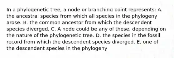 In a phylogenetic tree, a node or branching point represents: A. the ancestral species from which all species in the phylogeny arose. B. the common ancestor from which the descendent species diverged. C. A node could be any of these, depending on the nature of the phylogenetic tree. D. the species in the fossil record from which the descendent species diverged. E. one of the descendent species in the phylogeny