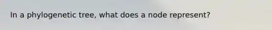 In a phylogenetic tree, what does a node represent?