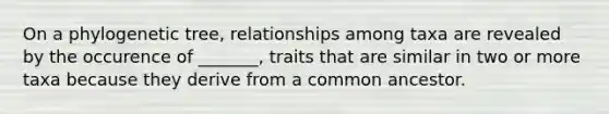 On a phylogenetic tree, relationships among taxa are revealed by the occurence of _______, traits that are similar in two or more taxa because they derive from a common ancestor.