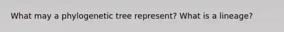 What may a phylogenetic tree represent? What is a lineage?