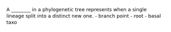 A ________ in a phylogenetic tree represents when a single lineage split into a distinct new one. - branch point - root - basal taxo