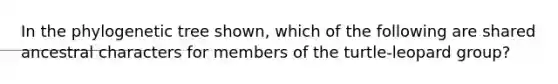 In the phylogenetic tree shown, which of the following are shared ancestral characters for members of the turtle-leopard group?