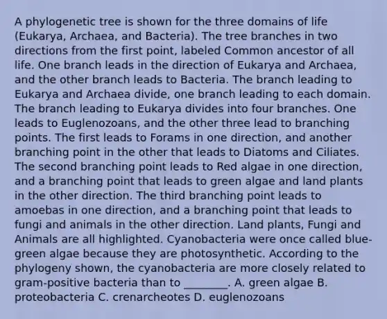 A phylogenetic tree is shown for the three domains of life (Eukarya, Archaea, and Bacteria). The tree branches in two directions from the first point, labeled Common ancestor of all life. One branch leads in the direction of Eukarya and Archaea, and the other branch leads to Bacteria. The branch leading to Eukarya and Archaea divide, one branch leading to each domain. The branch leading to Eukarya divides into four branches. One leads to Euglenozoans, and the other three lead to branching points. The first leads to Forams in one direction, and another branching point in the other that leads to Diatoms and Ciliates. The second branching point leads to Red algae in one direction, and a branching point that leads to green algae and land plants in the other direction. The third branching point leads to amoebas in one direction, and a branching point that leads to fungi and animals in the other direction. Land plants, Fungi and Animals are all highlighted. Cyanobacteria were once called blue-green algae because they are photosynthetic. According to the phylogeny shown, the cyanobacteria are more closely related to gram-positive bacteria than to ________. A. green algae B. proteobacteria C. crenarcheotes D. euglenozoans